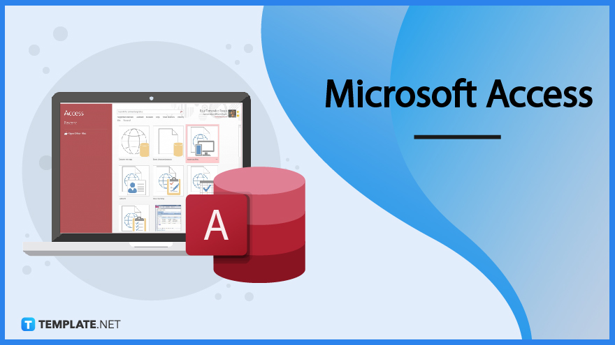 MS Access